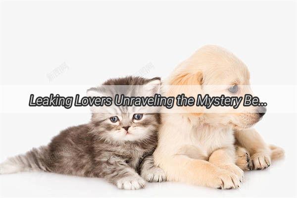 Leaking Lovers Unraveling the Mystery Behind Your Dogs Unintentional Urine Leaks